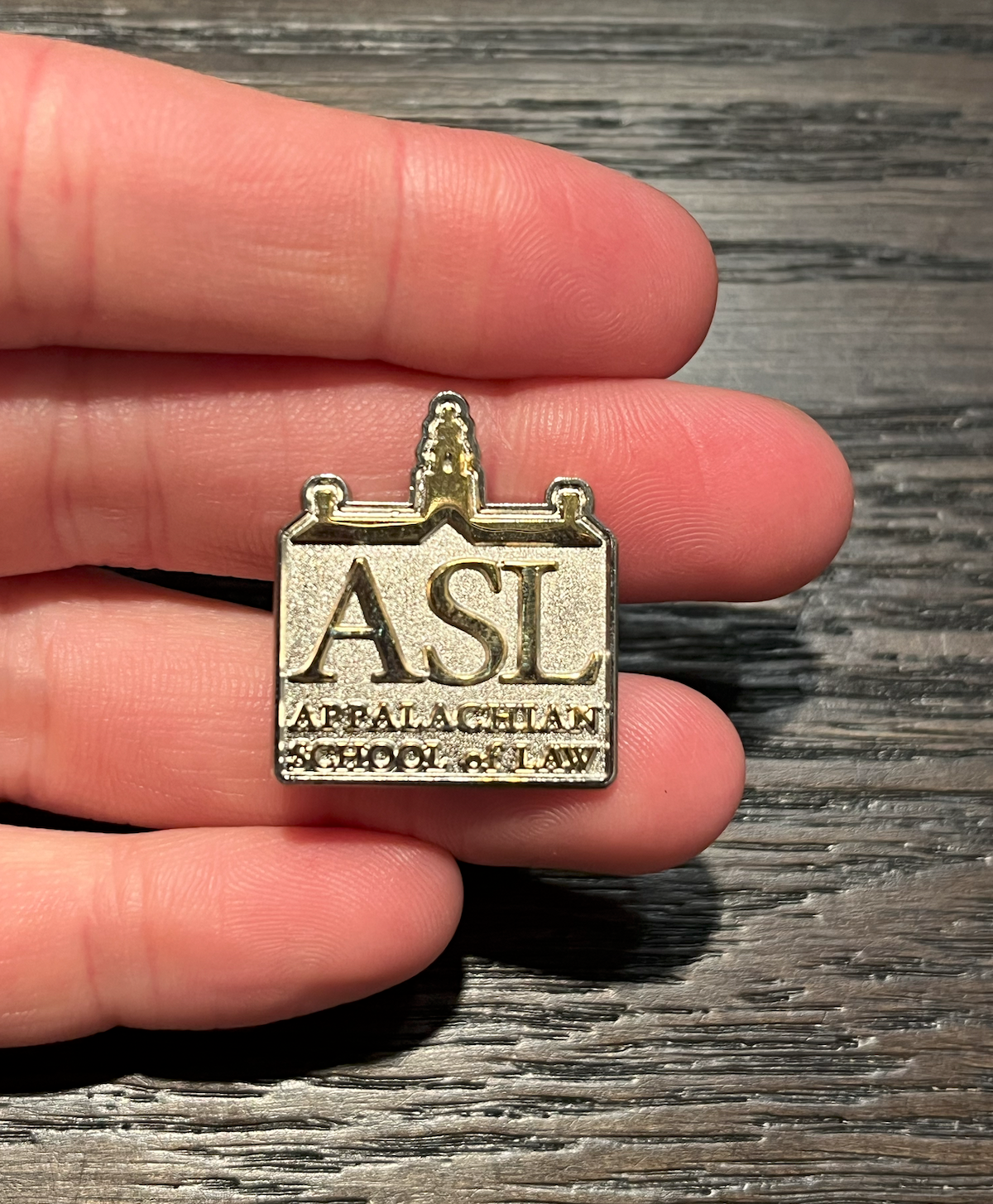 ASL Gold Lapel Pin